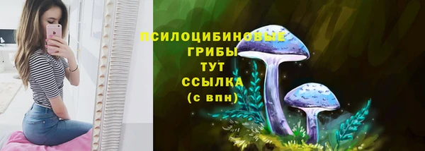 хмурый Абдулино