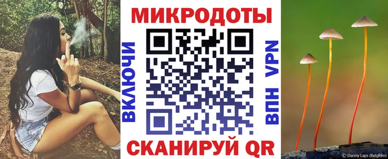 хочу наркоту Балаково Псилоцибиновые грибы Psilocybe